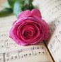 Red Notes Choir